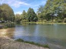 Etang des Forges